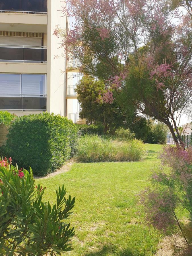Studio Moderne Avec Parking Et Piscine- 313 Canet-en-Roussillon Exteriér fotografie